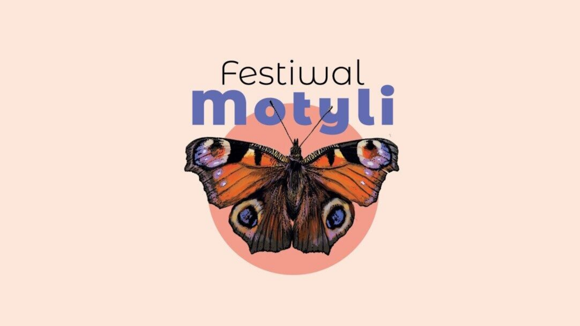 FESTIWAL MOTYLI