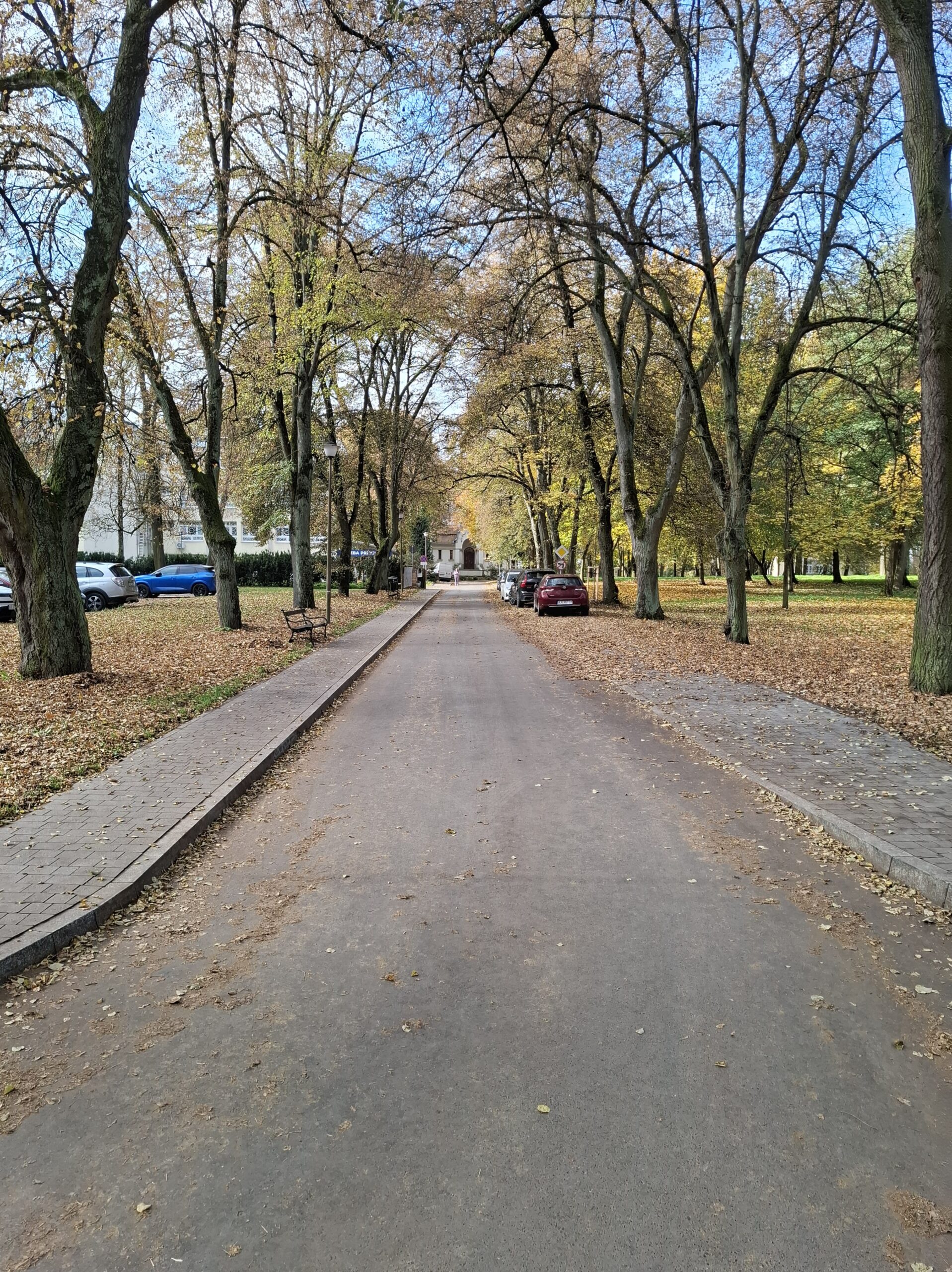 20251021_111919-min