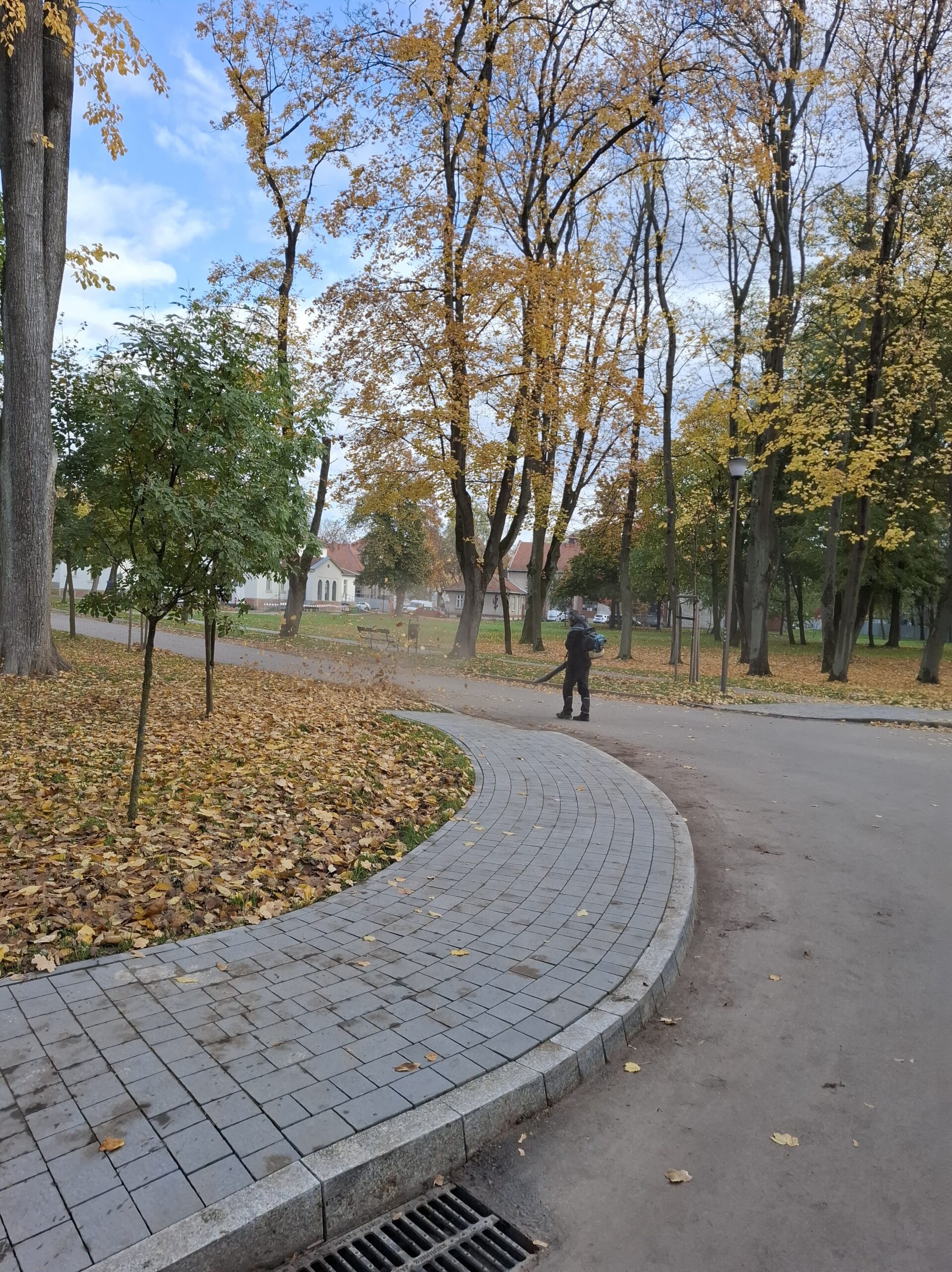 prace_porzadkowe-min